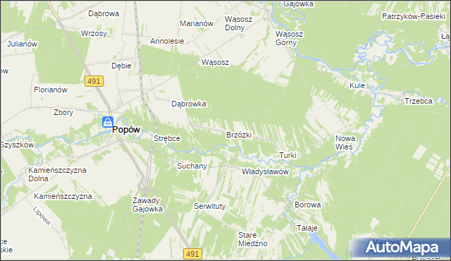 mapa Brzózki gmina Popów, Brzózki gmina Popów na mapie Targeo