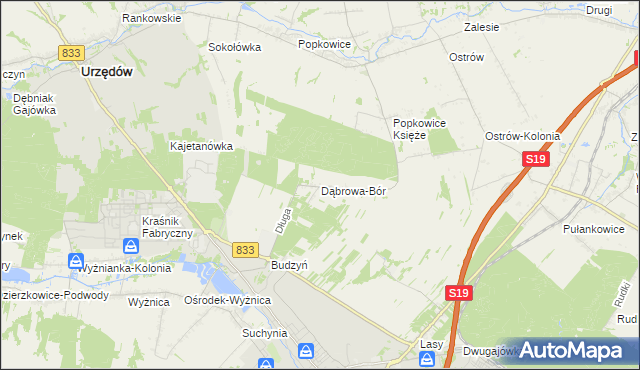 mapa Dąbrowa-Bór, Dąbrowa-Bór na mapie Targeo
