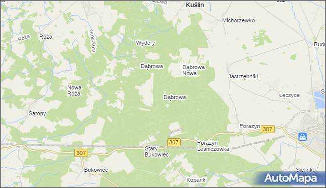 mapa Dąbrowa gmina Opalenica, Dąbrowa gmina Opalenica na mapie Targeo
