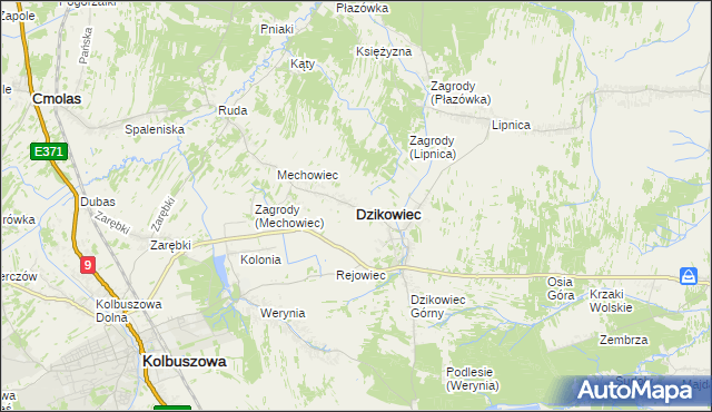 mapa Dzikowiec powiat kolbuszowski, Dzikowiec powiat kolbuszowski na mapie Targeo