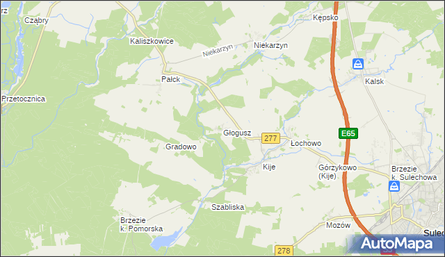 mapa Głogusz, Głogusz na mapie Targeo