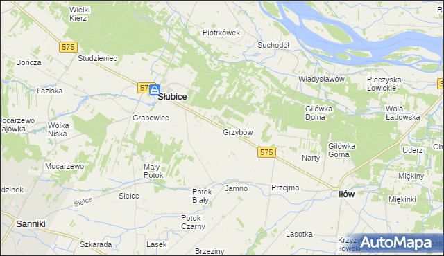 mapa Grzybów gmina Słubice, Grzybów gmina Słubice na mapie Targeo