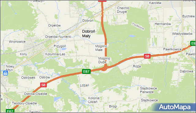 mapa Mogilno Duże, Mogilno Duże na mapie Targeo