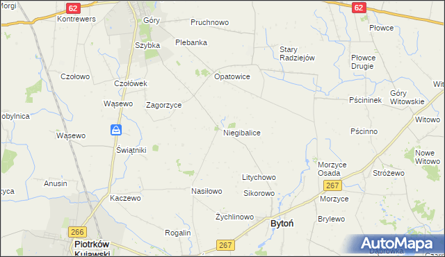 mapa Niegibalice, Niegibalice na mapie Targeo