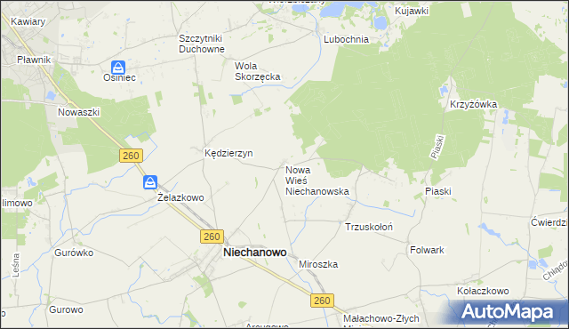 mapa Nowa Wieś Niechanowska, Nowa Wieś Niechanowska na mapie Targeo