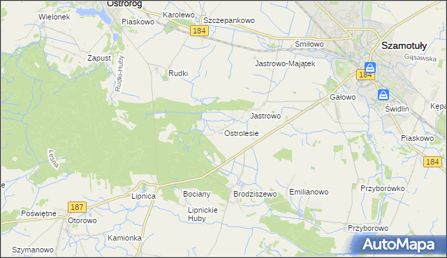 mapa Ostrolesie, Ostrolesie na mapie Targeo