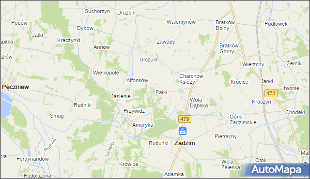 mapa Pałki gmina Zadzim, Pałki gmina Zadzim na mapie Targeo