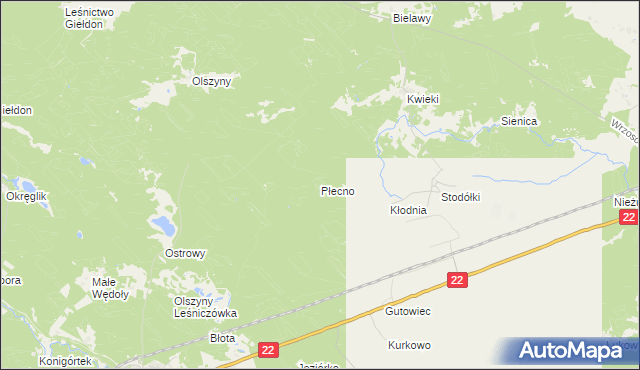 mapa Płecno, Płecno na mapie Targeo