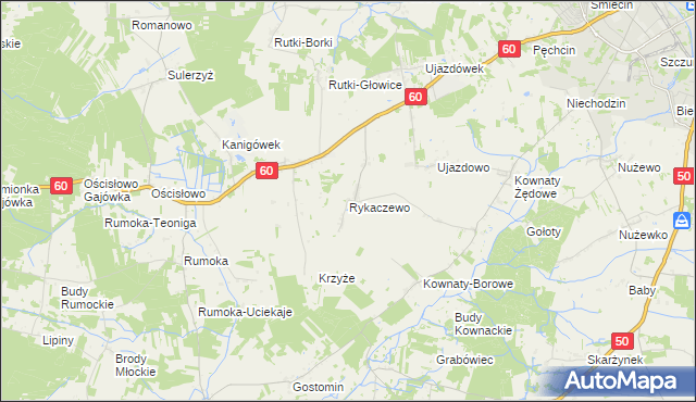 mapa Rykaczewo gmina Ciechanów, Rykaczewo gmina Ciechanów na mapie Targeo