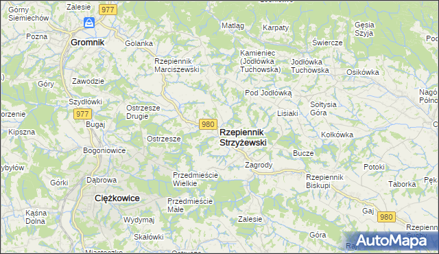 mapa Rzepiennik Strzyżewski, Rzepiennik Strzyżewski na mapie Targeo