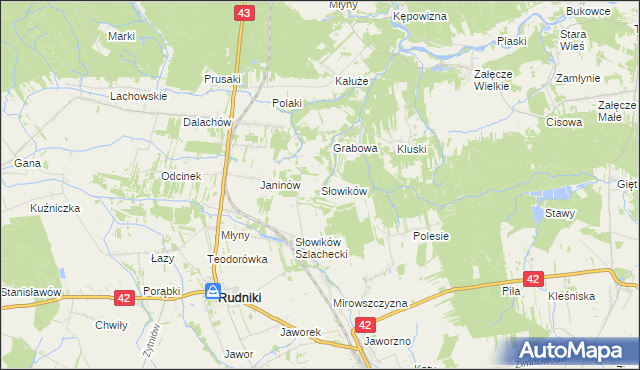 mapa Słowików gmina Rudniki, Słowików gmina Rudniki na mapie Targeo