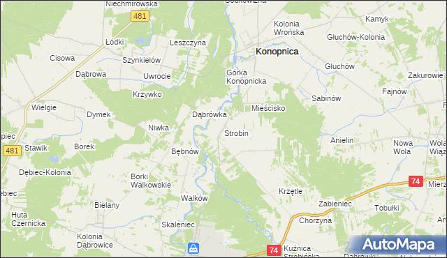 mapa Strobin, Strobin na mapie Targeo