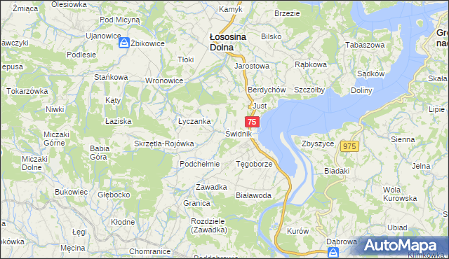 mapa Świdnik gmina Łososina Dolna, Świdnik gmina Łososina Dolna na mapie Targeo