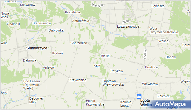 mapa Trzciniec gmina Sulmierzyce, Trzciniec gmina Sulmierzyce na mapie Targeo