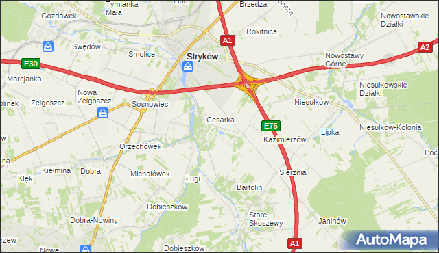 mapa Warszewice gmina Stryków, Warszewice gmina Stryków na mapie Targeo