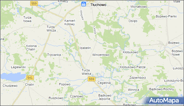 mapa Wincentowo gmina Brudzeń Duży, Wincentowo gmina Brudzeń Duży na mapie Targeo