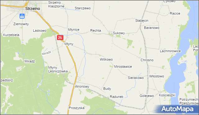 mapa Witkowo gmina Strzelno, Witkowo gmina Strzelno na mapie Targeo