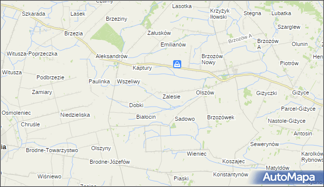 mapa Zalesie gmina Iłów, Zalesie gmina Iłów na mapie Targeo