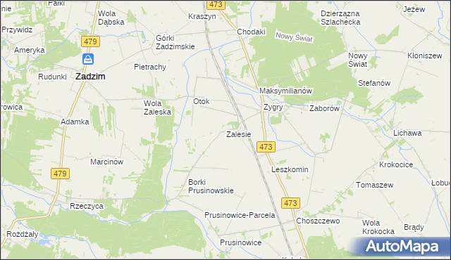 mapa Zalesie gmina Zadzim, Zalesie gmina Zadzim na mapie Targeo