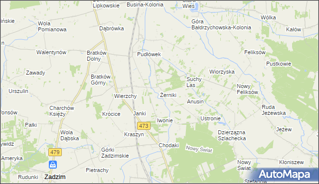 mapa Żerniki gmina Zadzim, Żerniki gmina Zadzim na mapie Targeo