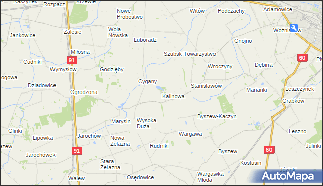 mapa Kalinowa gmina Kutno, Kalinowa gmina Kutno na mapie Targeo