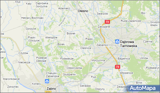 mapa Oleśnica gmina Olesno, Oleśnica gmina Olesno na mapie Targeo