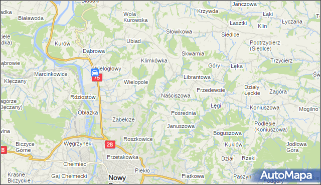 mapa Naściszowa, Naściszowa na mapie Targeo