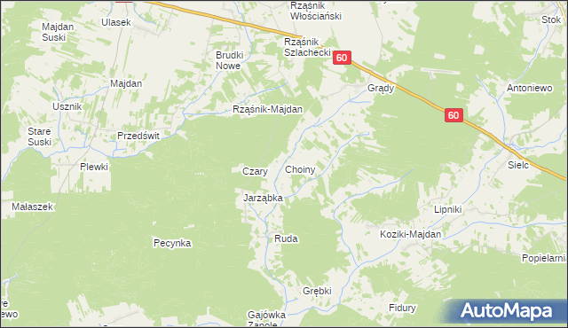 mapa Choiny gmina Wąsewo, Choiny gmina Wąsewo na mapie Targeo