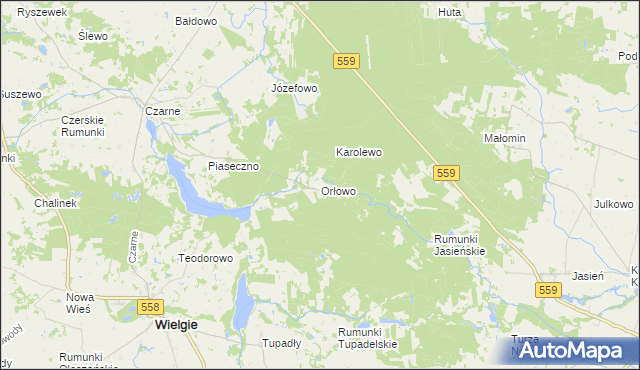 mapa Orłowo gmina Wielgie, Orłowo gmina Wielgie na mapie Targeo