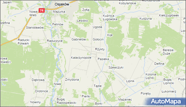 mapa Radoszewice gmina Siemkowice, Radoszewice gmina Siemkowice na mapie Targeo