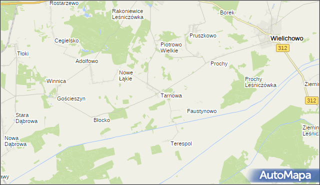 mapa Tarnowa gmina Rakoniewice, Tarnowa gmina Rakoniewice na mapie Targeo