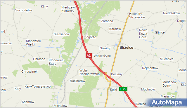 mapa Wieszczyce gmina Strzelce, Wieszczyce gmina Strzelce na mapie Targeo