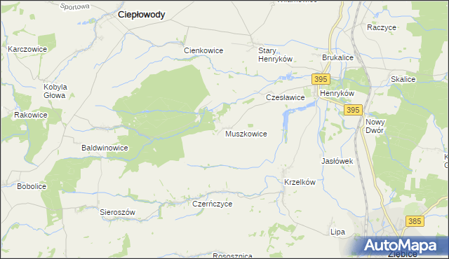 mapa Muszkowice, Muszkowice na mapie Targeo