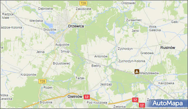 mapa Antoniów gmina Gielniów, Antoniów gmina Gielniów na mapie Targeo