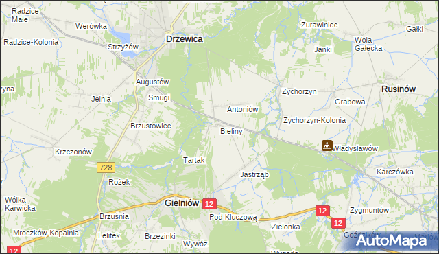 mapa Bieliny gmina Gielniów, Bieliny gmina Gielniów na mapie Targeo