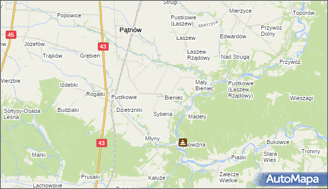 mapa Bieniec gmina Pątnów, Bieniec gmina Pątnów na mapie Targeo