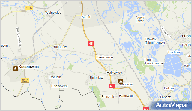 mapa Bieńkowice gmina Krzyżanowice, Bieńkowice gmina Krzyżanowice na mapie Targeo