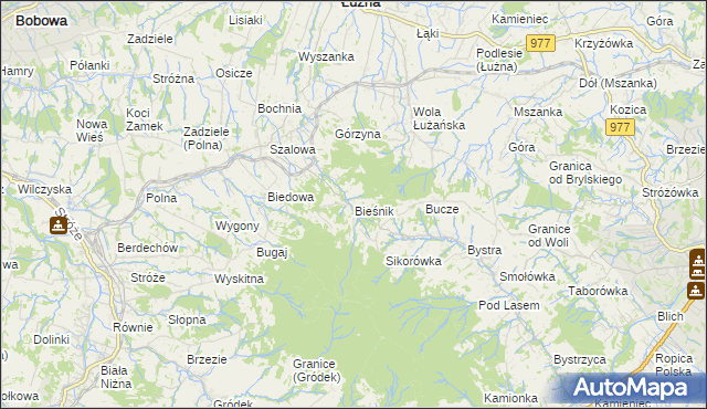 mapa Bieśnik gmina Łużna, Bieśnik gmina Łużna na mapie Targeo
