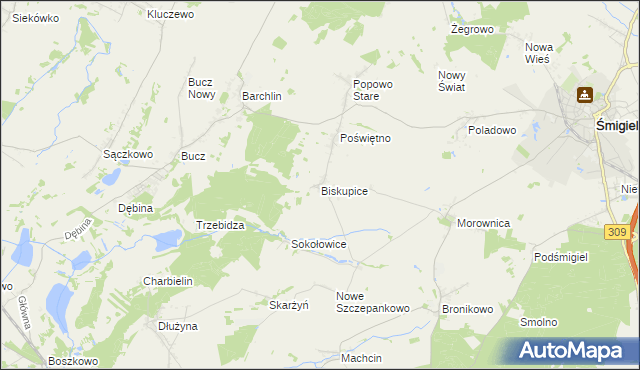 mapa Biskupice gmina Przemęt, Biskupice gmina Przemęt na mapie Targeo