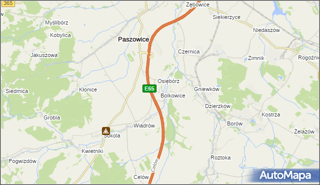 mapa Bolkowice gmina Paszowice, Bolkowice gmina Paszowice na mapie Targeo