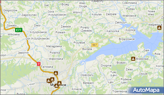 mapa Borzęta, Borzęta na mapie Targeo