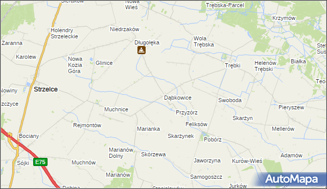 mapa Dąbkowice gmina Strzelce, Dąbkowice gmina Strzelce na mapie Targeo