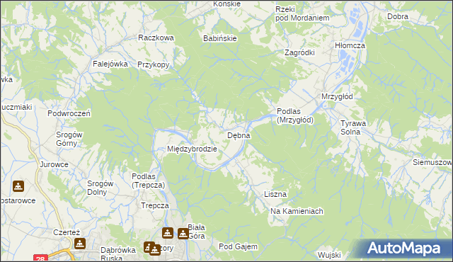 mapa Dębna gmina Sanok, Dębna gmina Sanok na mapie Targeo