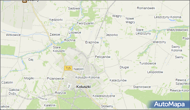 mapa Felicjanów gmina Koluszki, Felicjanów gmina Koluszki na mapie Targeo