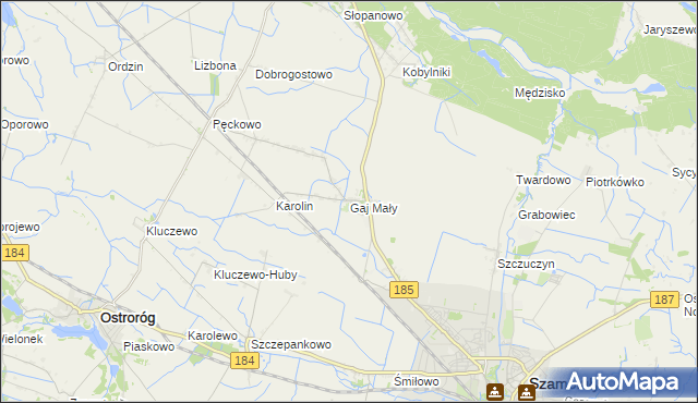 mapa Gaj Mały gmina Obrzycko, Gaj Mały gmina Obrzycko na mapie Targeo