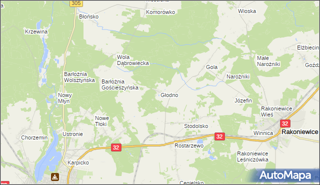 mapa Głodno gmina Rakoniewice, Głodno gmina Rakoniewice na mapie Targeo