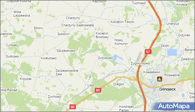 mapa Grzybowo gmina Raciąż, Grzybowo gmina Raciąż na mapie Targeo