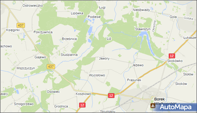 mapa Jawory gmina Borek Wielkopolski, Jawory gmina Borek Wielkopolski na mapie Targeo