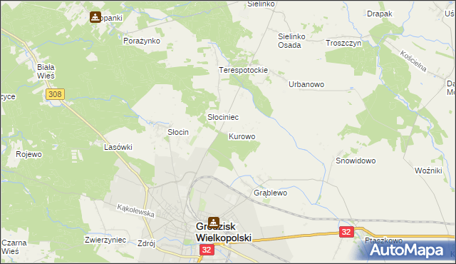 mapa Kurowo gmina Grodzisk Wielkopolski, Kurowo gmina Grodzisk Wielkopolski na mapie Targeo