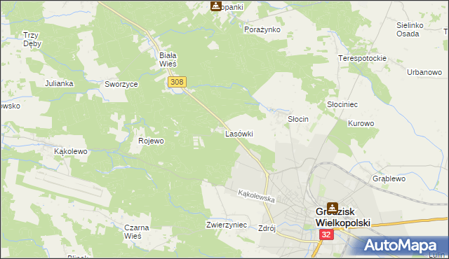 mapa Lasówki gmina Grodzisk Wielkopolski, Lasówki gmina Grodzisk Wielkopolski na mapie Targeo